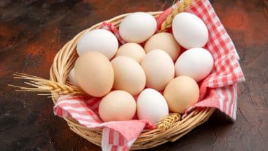 تخم مرغ کمتر از قیمت مصوب به فروش می‌رسد