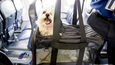 ورود حیوانات زنده به هواپیما ممنوع می‌شود