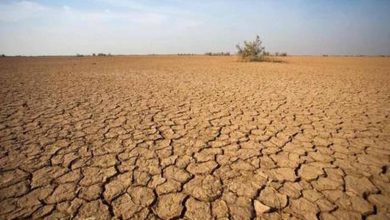 پایان سال آبی با کاهش ۲۰ درصدی بارش / خراسان رضوی، خشک‌ترین استان کشور
