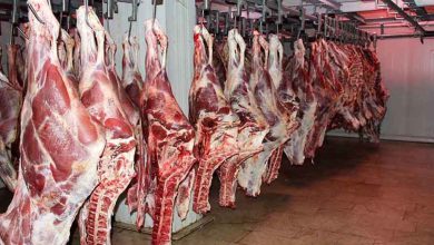  ارسال اولین محموله گوشت از کنیا به ایران
