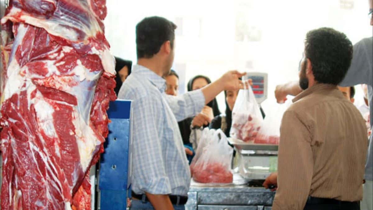 قیمت‌ گوشت گرم به ثبات می‌رسد