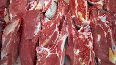 واردات، قیمت گوشت قرمز را ارزان می‌کند؟