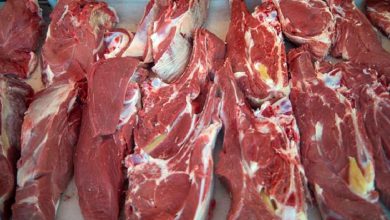 کاهش قیمت گوشت در راه است؟