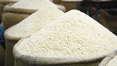 کاهش 40 درصدی واردات برنج ایران از هند