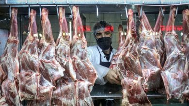 آخرین اخبار از بازار قیمت گوشت