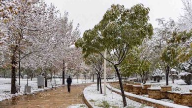پیش‌بینی اولین برف پاییزی ایران در 5 روز آینده
