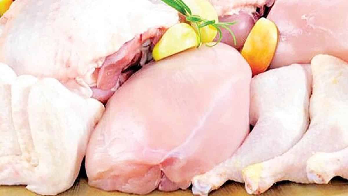 قیمت انواع مرغ در ۲۰ مهر ۱۴۰۲