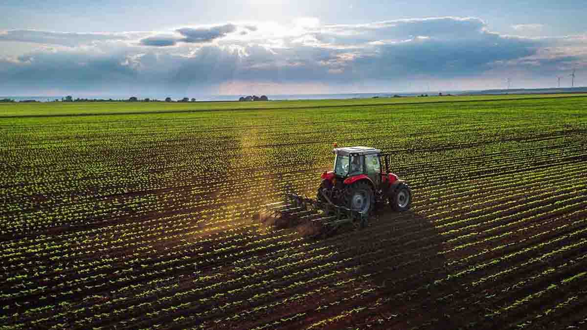 واگذاری زمین کشاورزی به مردم در ۳ استان