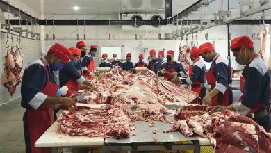 تداوم عرضه گوشت داخلی و وارداتی / قیمت روز گوشت در بازار ۲۵ مهر ۱۴۰۲