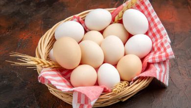 قیمت مصوب هر کیلو تخم‌مرغ ۵۶ هزار تومان
