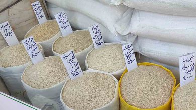 کاهش قیمت انواع برنج ایرانی / جدیدترین قیمت انواع برنج ایرانی