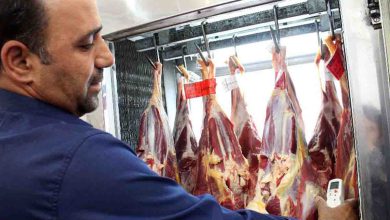 واردات روزانه گوشت گرم به ۲۵۰ تن رسید