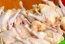 قیمت مرغ امروز ۲۴ خرداد ۱۴۰۳