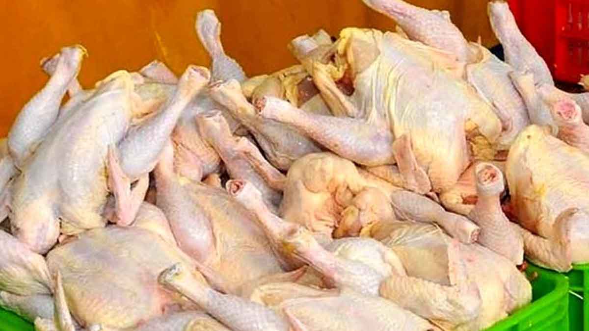 قیمت مرغ امروز ۲۴ خرداد ۱۴۰۳