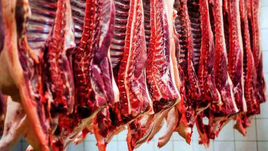 نرخ گوشت در بازار روند نزولی به خود گرفته است