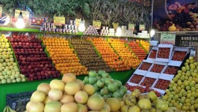 اختلاف ۴۵ درصدی قیمت میوه در بازار و میادین