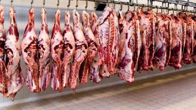 قیمت گوشت امروز ۱۵ آبان ۱۴۰۲