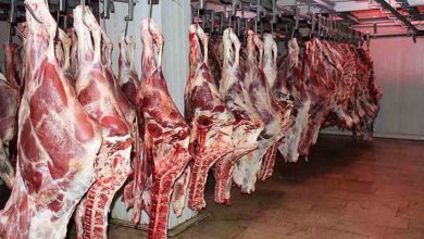 قیمت جدید گوشت حیوانی امروز ۱۶ آبان ۱۴۰۲