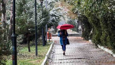 هواشناسی ایران ۵ آذر ۱۴۰۲ / آغاز بارش باران و برف در نوار غربی کشور