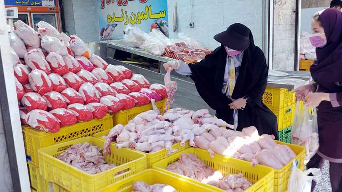 قیمت مرغ کاهش می‌یابد؟ / صادرات ماهانه ۱۵ تا ۲۰ هزار تن مرغ