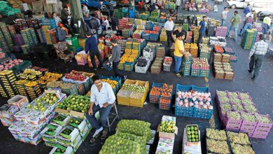 نرخ عمده فروشی میوه و سبزیجات ۱۵ تا ۲۱ آبان۱۴۰۲ + جدول