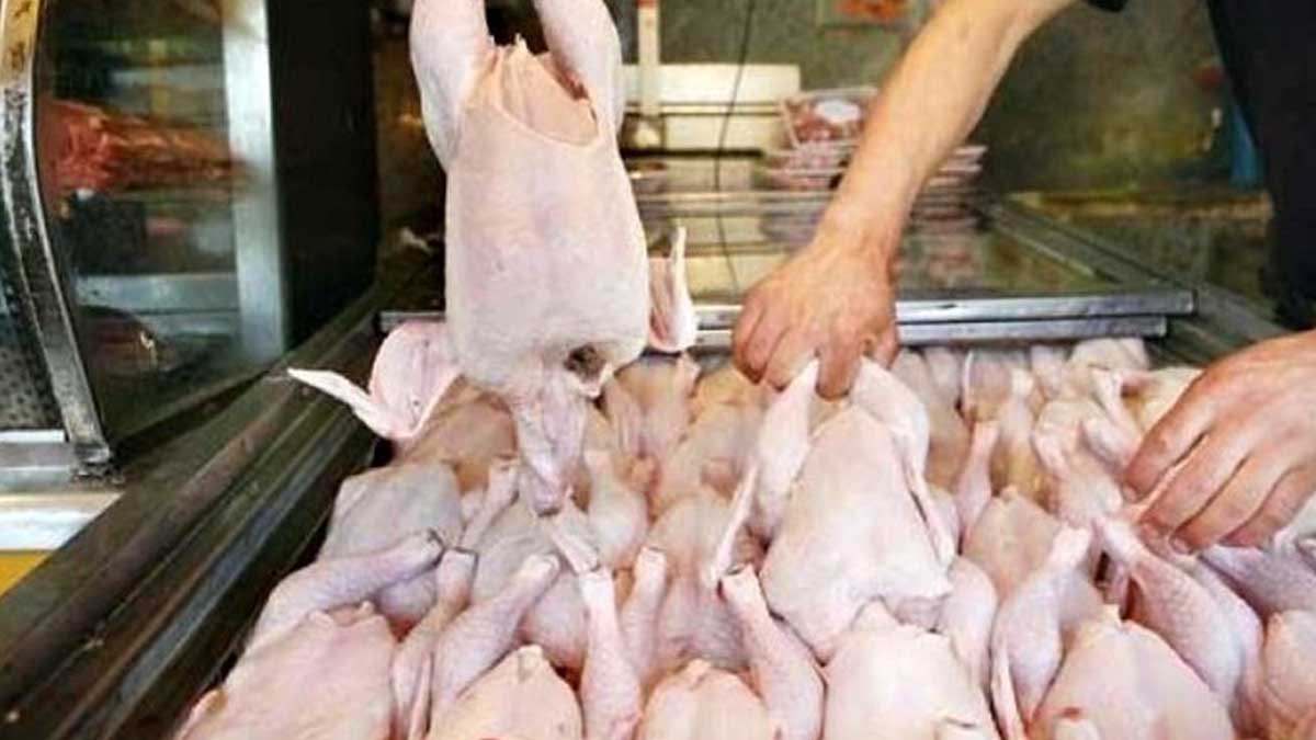 قیمت هر کیلو گوشت مرغ در بازار