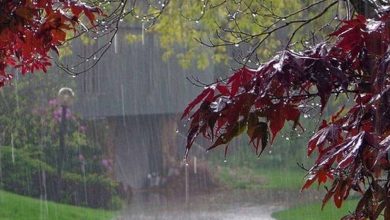 رگبار باران و رعد و برق در اغلب مناطق کشور
