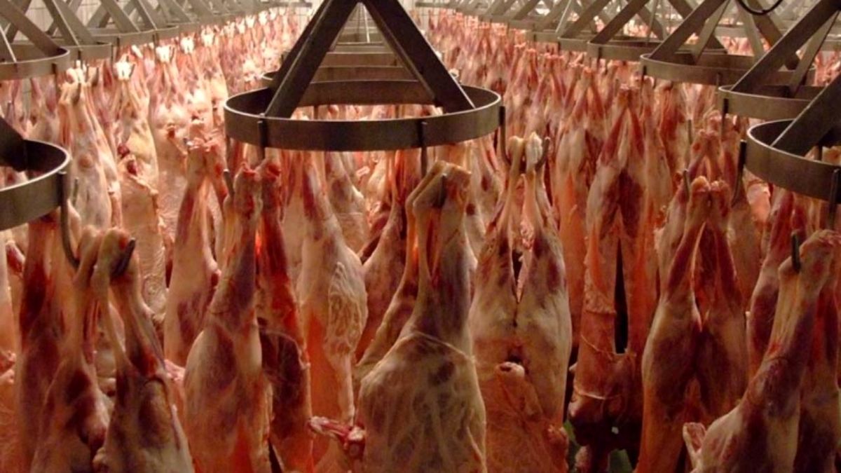 کاهش۲ درصدی تولید گوشت قرمز در مهر ماه
