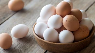 صادرات تخم مرغ ۲ برابر می‌شود