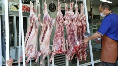 چرا قیمت گوشت در بازار افزایش یافت؟