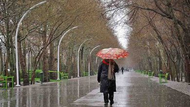 هواشناسی ایران ۸ دی ۱۴۰۲ / باران و وزش باد در برخی استان‌ها