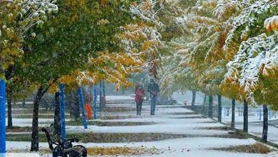 هواشناسی ایران ۶ دی ۱۴۰۲ / بارش برف و باران در نقاط مختلف کشور از فردا
