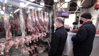 بازار گوشت به ثبات قیمتی می‌رسد