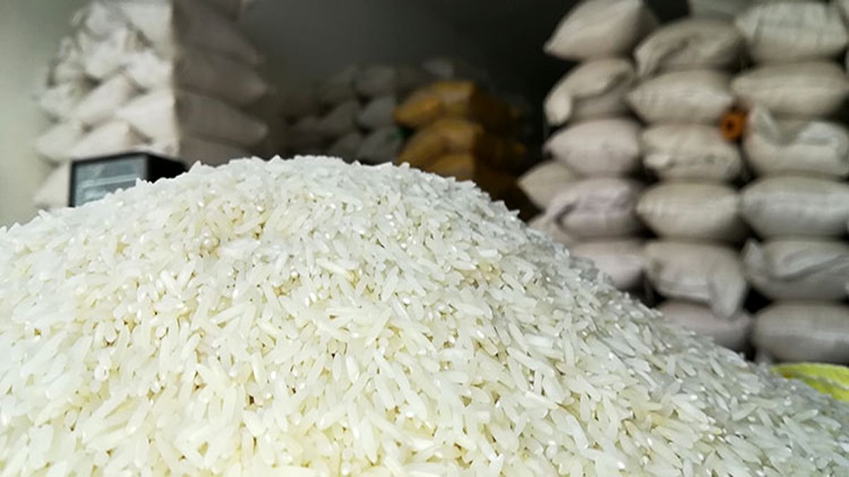 جدیدترین قیمت برنج ایرانی اعلام شد + جدول دی ۱۴۰۲