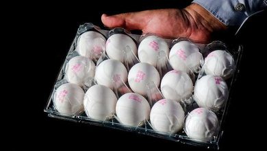 نرخ هر کیلو تخم مرغ ۴۷.۳۰۰ تومان