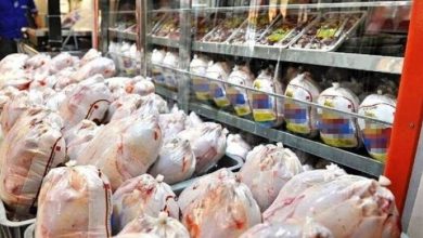 توزیع مرغ منجمد، قیمت را کاهش داد