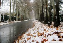 هواشناسی ایران ۲۶ دی ۱۴۰۲ / تداوم بارش برف و باران در برخی مناطق