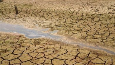 ۶۲ درصد کشور درگیر خشکسالی است