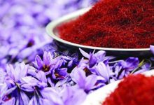 ایران در جایگاه اول صادرات زعفران دنیا