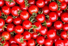 بازار گوجه فرنگی به تعادل رسید
