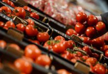 گوجه رکورددار گرانی در آذر ماه / رشد ۳۱۹ درصدی قیمت گوجه فرنگی در دولت رئیسی