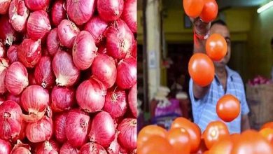 کاهش عوارض صادراتی پیاز و گوجه فرنگی