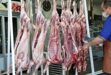 گوشت گوسفند کیلویی ۷۰۰ هزار تومان شد؟
