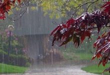 هواشناسی ایران ۰۱ تیر ۱۴۰۳ / هشدار بارش‌های شدید در تهران