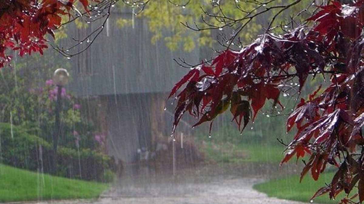 هواشناسی ایران ۰۱ تير ۱۴۰۳ / هشدار بارش‌های شدید در تهران