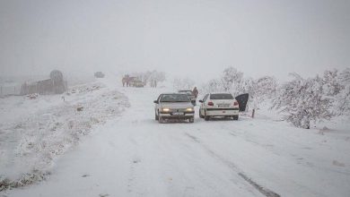 هواشناسی ایران ۱۷ بهمن ۱۴۰۲ / بارش برف و باران در ۱۵ استان