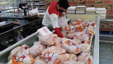 تولید ماهانه بیش از ۲۶۰ هزار تن گوشت مرغ / روند نزولی قیمت مرغ در بازار