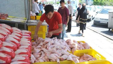 چرا قیمت مرغ افزایش یافت؟
