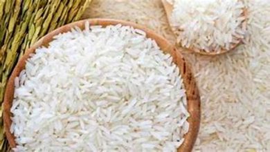 افزایش قیمت برنج در روزهای اخیر