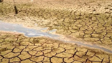 کاهش جدی بارش ها در کشور/ تداوم خشکسالی در ایران